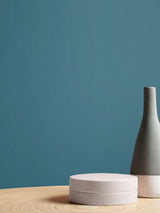 Next Graham & Brown Tiamat Resistance Matt Emulsion Paint- Buy online at McGrocer