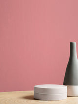 Next Graham & Brown Icon Resistance Matt Emulsion Paint- Buy online at McGrocer