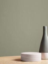 Next Graham & Brown Sage Resistance Matt Emulsion Paint- Buy online at McGrocer