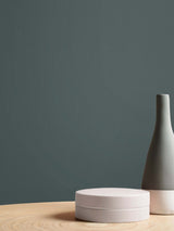 Next Graham & Brown Teal Resistance Matt Emulsion Paint- Buy online at McGrocer