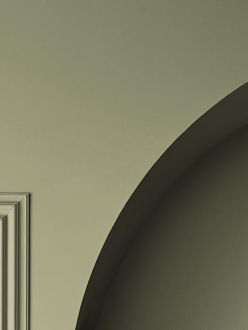 Graham & Brown Viridis Resistance matt emulsion paint, imported from the UK