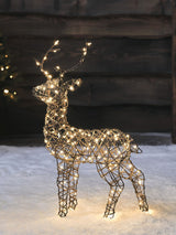 Next Lights4fun Brown Studley Stag LED Light Up Reindeer 56cm- Buy online at McGrocer