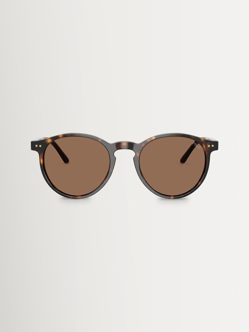 Polo Ralph Lauren round brown sunglasses acetate frames (British brand)