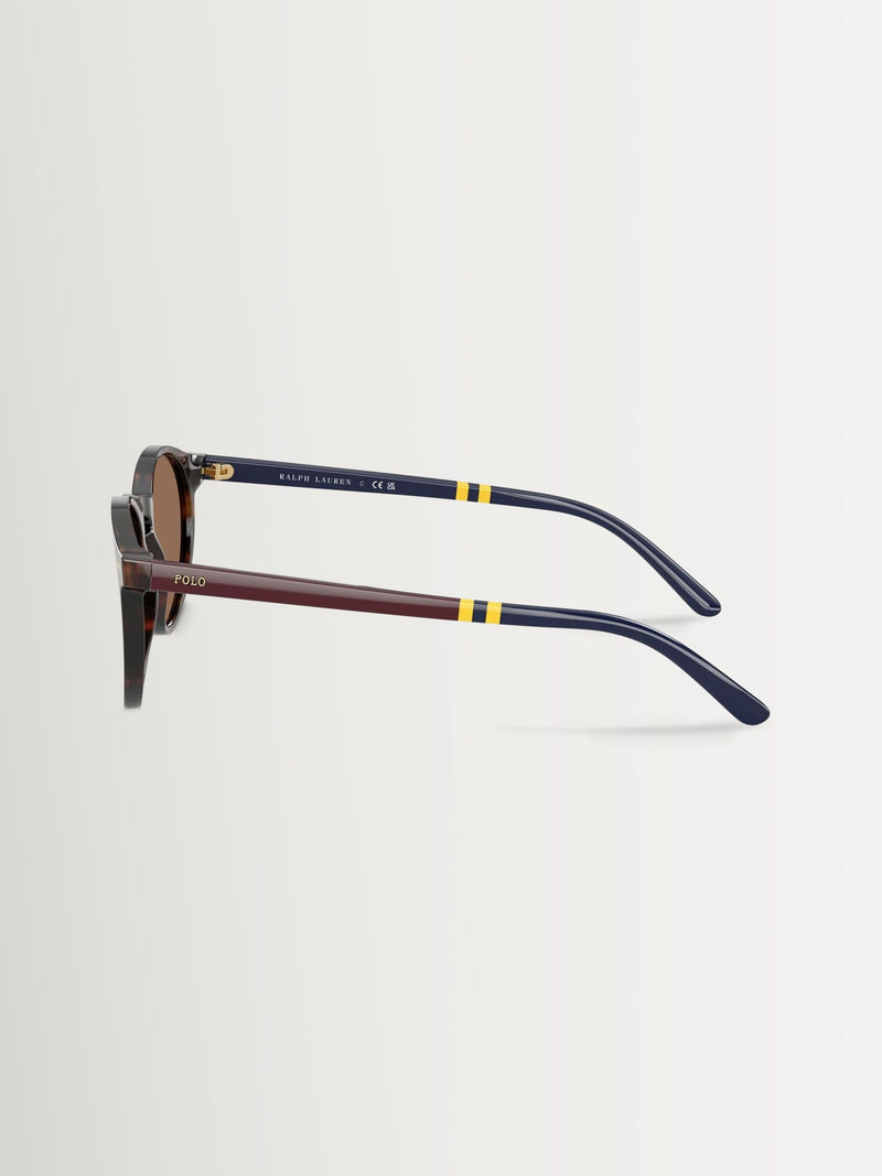 Polo Ralph Lauren round brown sunglasses acetate frames (British brand)