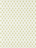 Clarke and Clarke wallpaper Apple Nandana Indira 10M (British brand)