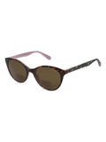 Ted Baker reader sunglasses +2.5 tortoiseshell - British product