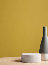 Next Graham & Brown Acacia Resistance Matt Emulsion Paint- Buy online at McGrocer