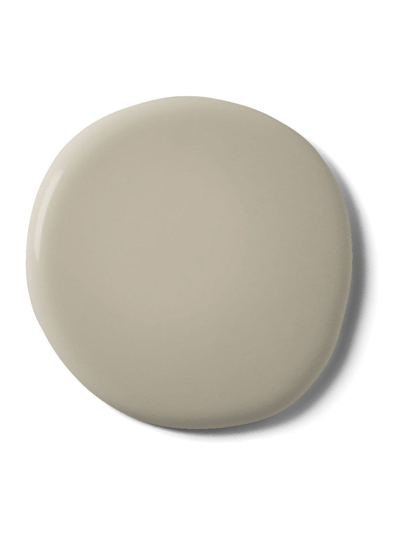 Graham & Brown Plover Resistance matt emulsion paint, imported from the UK