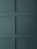 Graham & Brown Riley Resistance matt emulsion paint (British brand)
