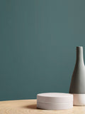 Graham & Brown Riley Resistance matt emulsion paint (British brand)
