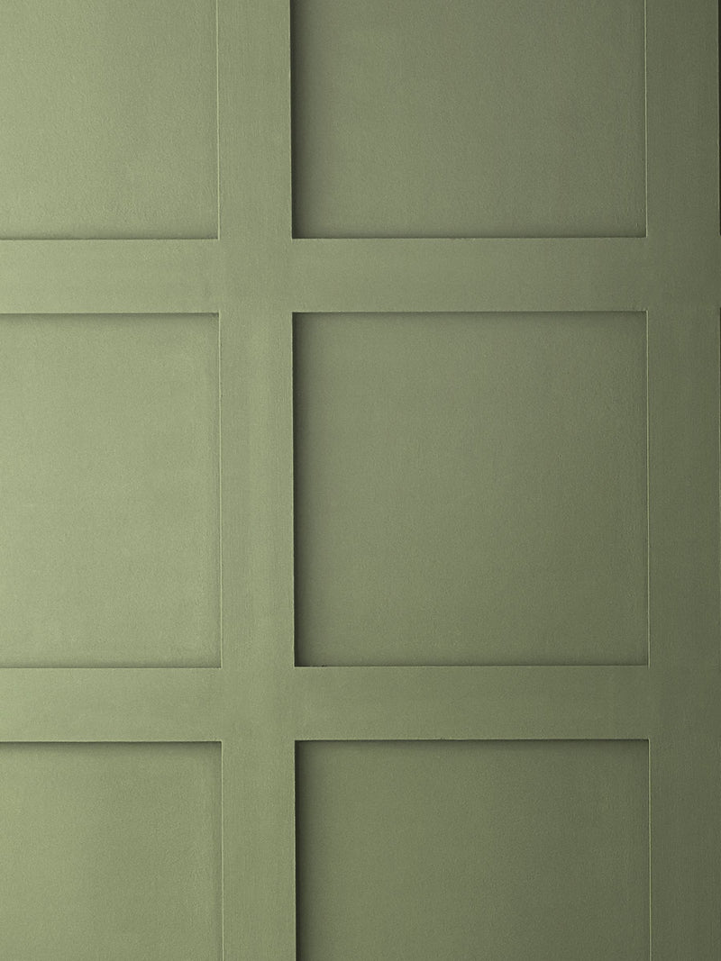 Graham & Brown So Swamped matt emulsion paint (British brand)