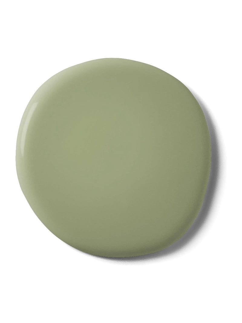 Graham & Brown So Swamped matt emulsion paint (British brand)
