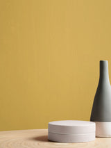 Next Graham & Brown Funkytown Resistance Matt Emulsion Paint- Buy online at McGrocer