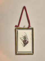 Next Nkuku Antique Brass Kiko Portrait 4x6 Photo Frame- Buy online at McGrocer