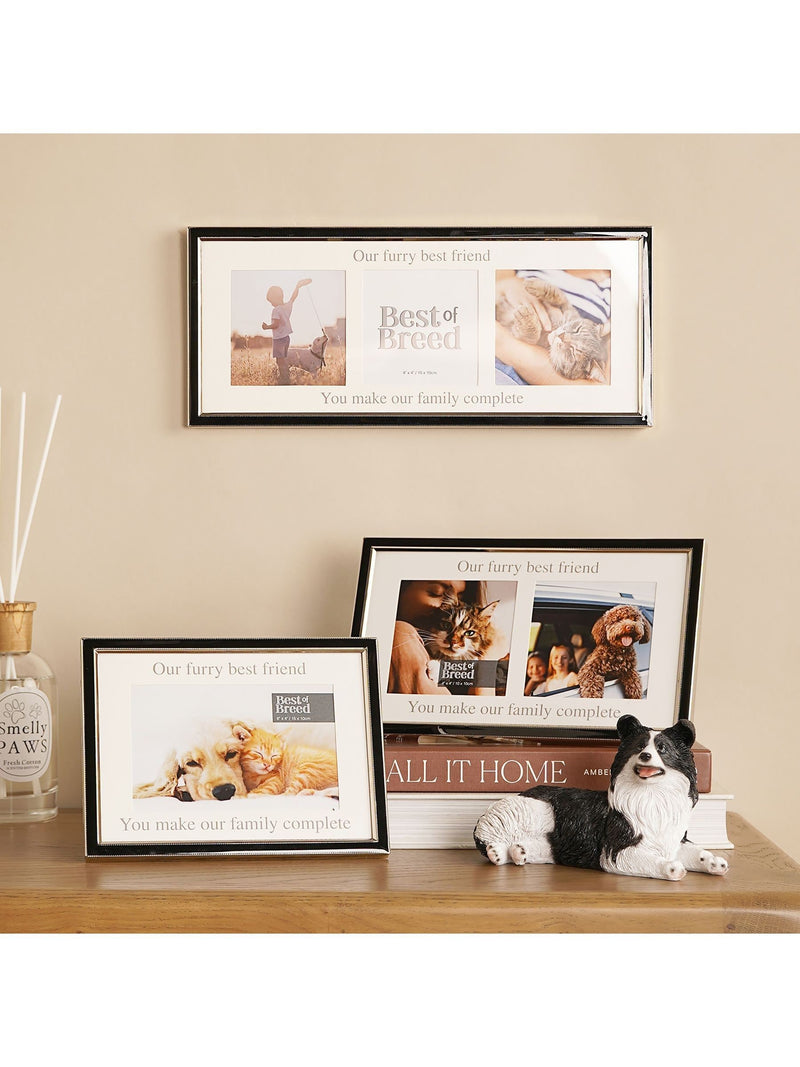 Widdop white paw print photo frame with ink pad (British brand)