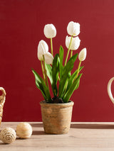 Next Scottish Everlastings Ltd White Artificial Tulip Spray in Pot 46cm- Buy online at McGrocer