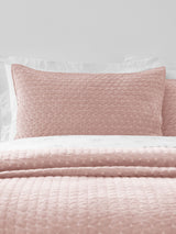 Next Bianca Attica Velvet Embroidered Hypoallergenic Pillow Sham Pair (50x75cm)- Buy online at McGrocer