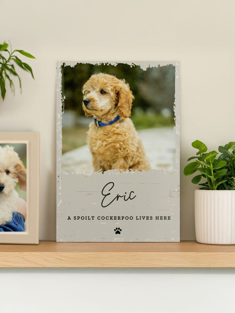 PMC personalised pet garden sign 19.4x30.5 cm, imported from the UK