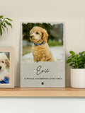 PMC personalised pet garden sign 19.4x30.5 cm, imported from the UK