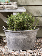 Next Dibor Silver Galvanised Tub Planter- Buy online at McGrocer