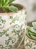 Dibor green botanical ceramic plant pot - British product
