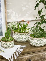 Next Dibor Set of 3 Green Ceramic Planters - Small, Medium, Large- Buy online at McGrocer