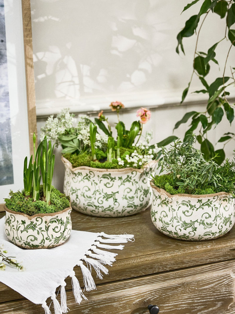 Dibor set of three green ceramic planters, UK version