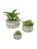 Dibor set of three green ceramic planters, UK version