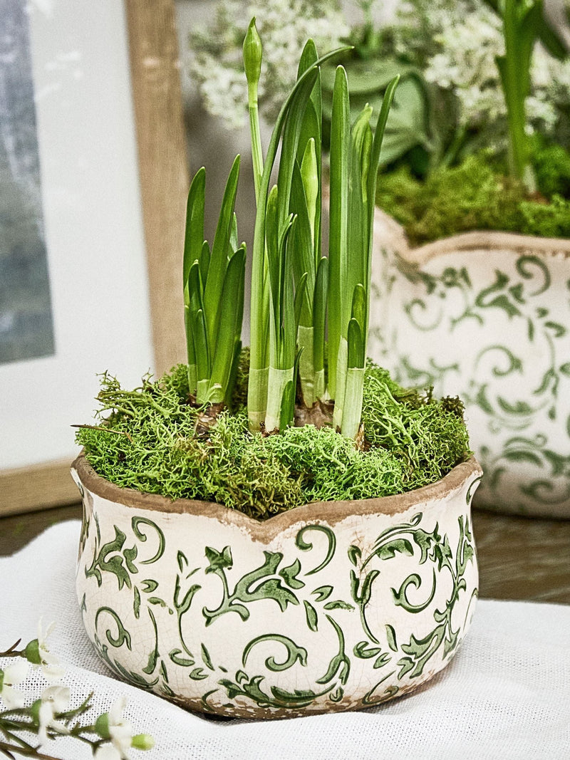 Dibor set of three green ceramic planters, UK version