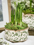 Dibor set of three green ceramic planters, UK version