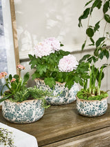 Next Dibor Turquoise Ceramic Planters Set of 3- Buy online at McGrocer