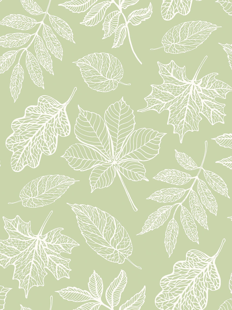 Hoopla Walls dusty sage silhouette wallpaper sample A4 - British product