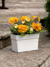 Next Scottish Everlastings Ltd Orange & Yellow Artificial Daisy UV Trough- Buy online at McGrocer