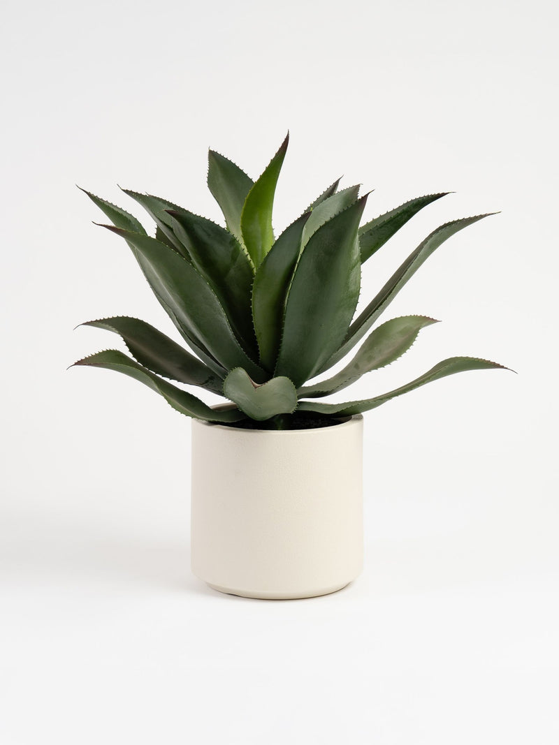 Scottish Everlastings Ltd oversized green artificial agave 57cm - British product