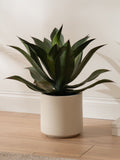 Scottish Everlastings Ltd oversized green artificial agave 57cm - British product