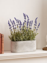 Next Scottish Everlastings Ltd Purple Artificial Lavender in Oval Trough 35cm- Buy online at McGrocer