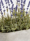 Scottish Everlastings purple artificial lavender arrangement 35cm, imported from the UK