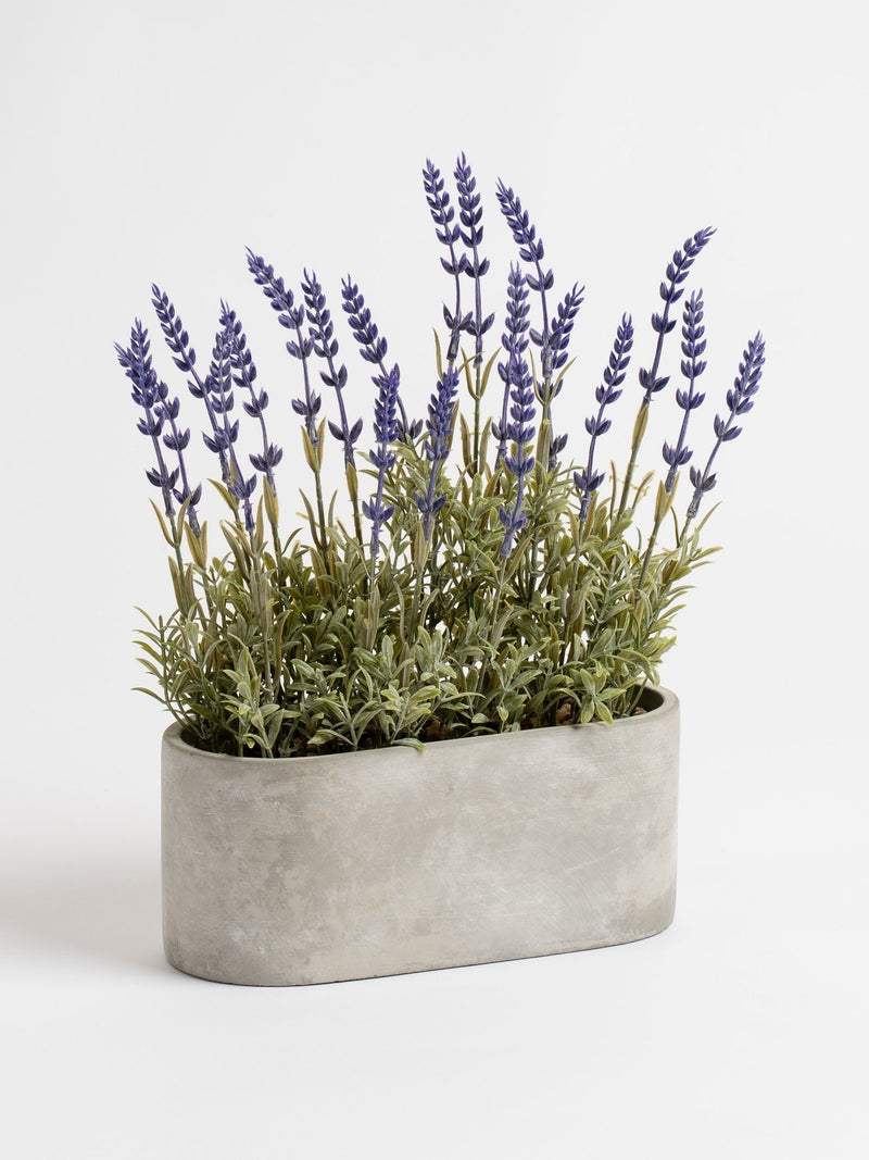 Scottish Everlastings purple artificial lavender arrangement 35cm, imported from the UK