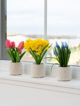Next Scottish Everlastings Ltd Set of 3 Artificial Spring Pots- Buy online at McGrocer