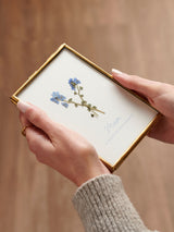 Next Posh Totty Designs Personalised In Memory Forget Me Not Pressed Flower Frame - 10 x 15cm- Buy online at McGrocer