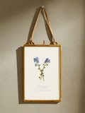 Posh Totty forget me not pressed flower frame (British brand)