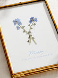 Posh Totty forget me not pressed flower frame (British brand)