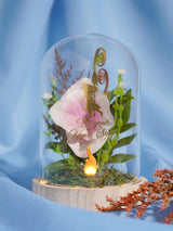 Next Disney Moana Decorative LED Cloche Light with Floral Arrangement- Buy online at McGrocer