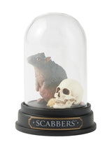 Next Harry Potter Scabbers Curiosity Cloche Collectible Figure 9.5 x 6.5 x 6.5 cm- Buy online at McGrocer