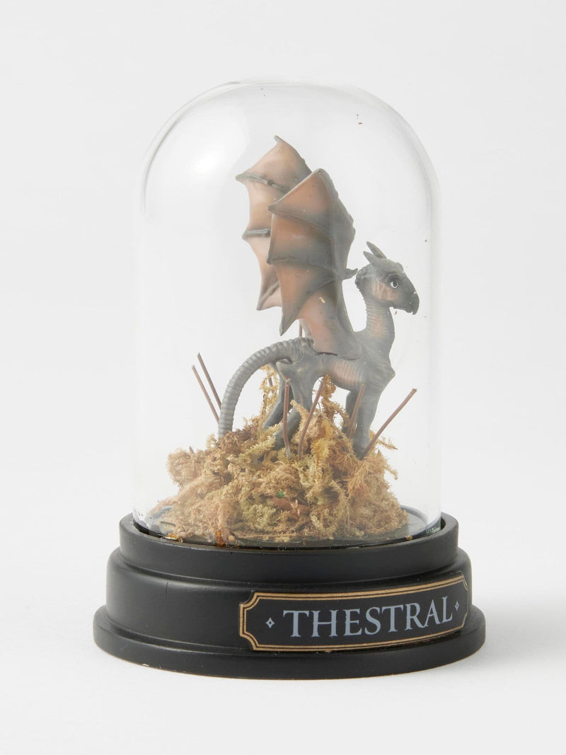 Harry Potter multicolour Thestral curiosity cloche 9.5cm, UK version
