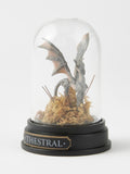 Harry Potter multicolour Thestral curiosity cloche 9.5cm, UK version