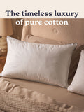 Sleepeezee cotton hypoallergenic pillow one size (British brand)