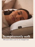 Sleepeezee cotton hypoallergenic pillow one size (British brand)