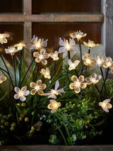 Next Lights4fun Multi Warm White Solar Flower Bee Butterfly Stakes- Buy online at McGrocer