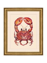 Next Brookpace Lascelles Red/Gold Crab II Wall Art, 58x48cm- Buy online at McGrocer